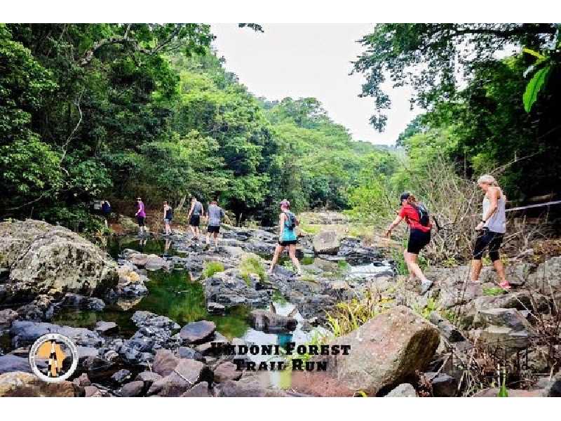 PDM Umdoni Forest Trail Run